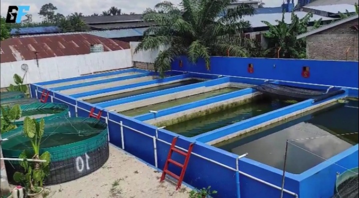 Gurame Farm